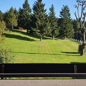Luxus Im Bayerischen Wald Sankt Englmar